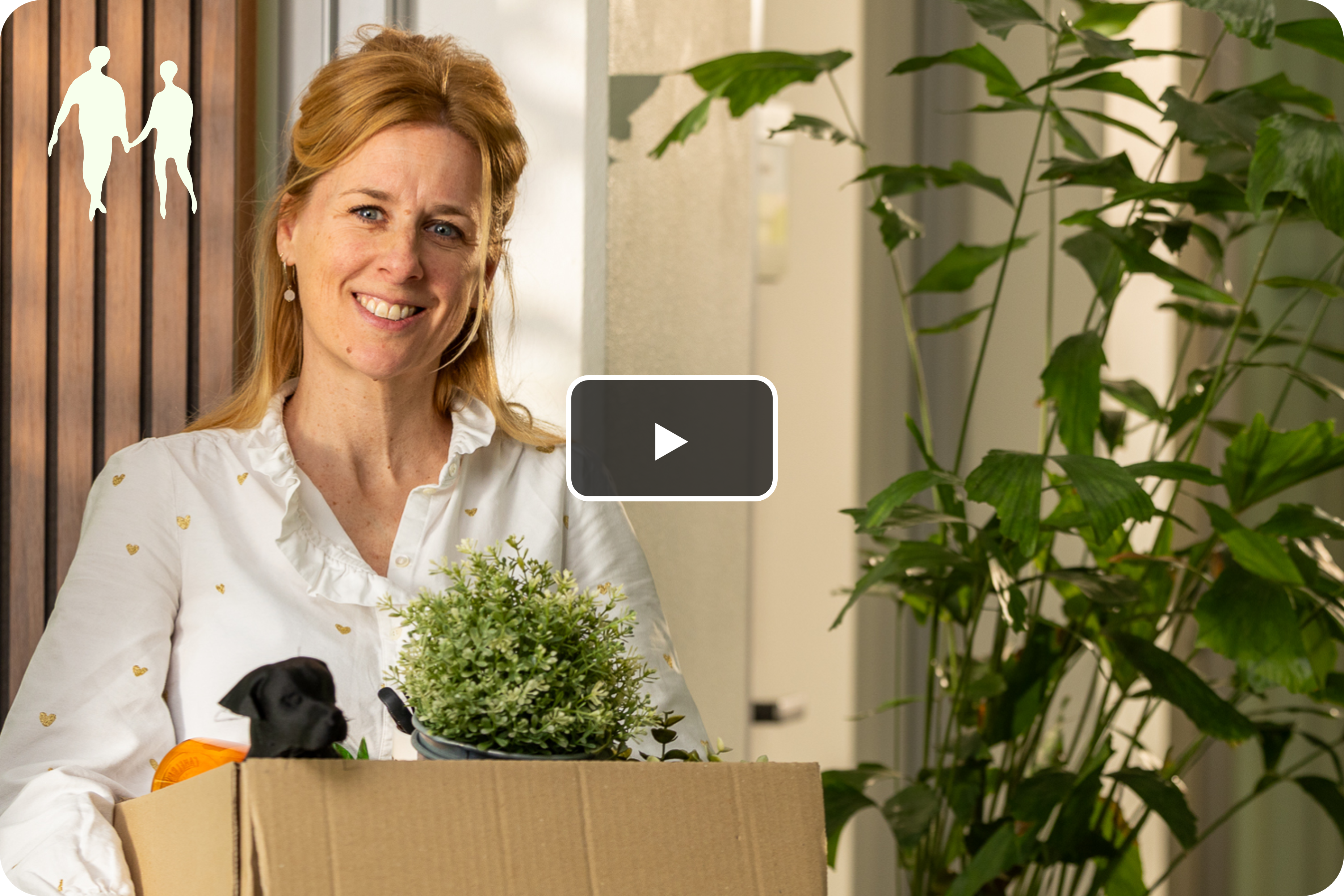 SPF_WAOV_thumbnail.png (15.79 MB)